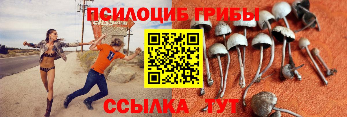 Галлюциногенные грибы мицелий  Галлюциногенные грибы мухоморы  где можно купить наркотик  Гусев  Вход с VPN 